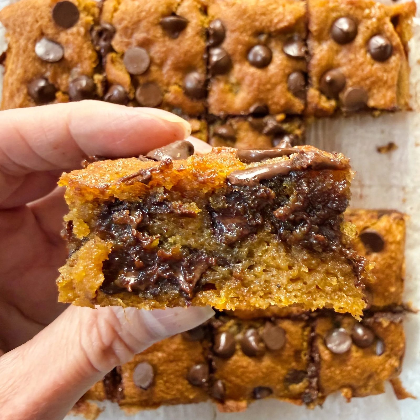 Gluten-free pumpkin blondies with chocolate chips